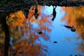 Akron State Park in October