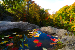 Akron State Park- October