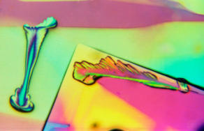 Crystal Photomicrograph