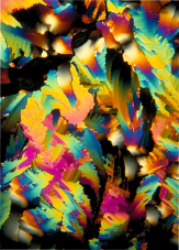 Crystal Photomicrograph