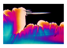 Crystal Photomicrograph