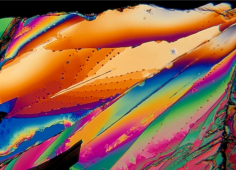 Crystal Photomicrograph