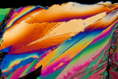 Crystal Photomicrograph