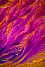 Crystal Photomicrograph