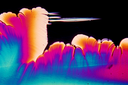 Crystal Photomicrograph