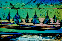 Crystal Photomicrograph