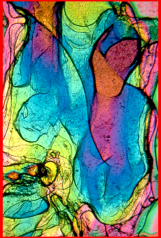 Crystal Photomicrograph