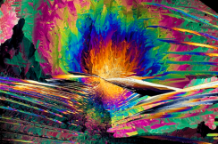 Crystal Photomicrograph