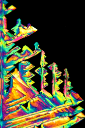 Crystal Photomicrograph