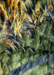 Crystal Photomicrograph